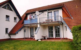 Sommergarten 37